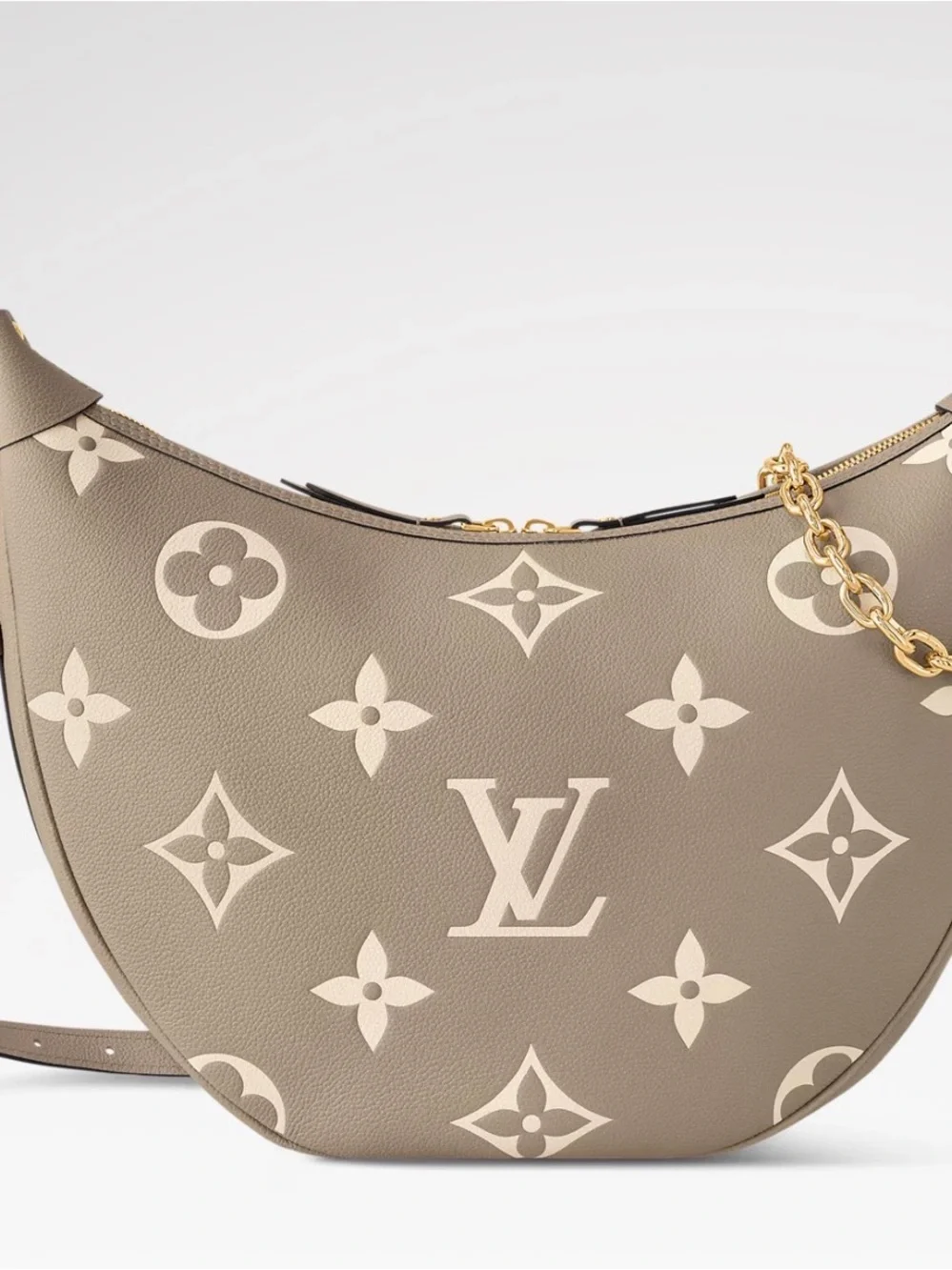 Louis Vuitton Hobo Loop Gray Bag
